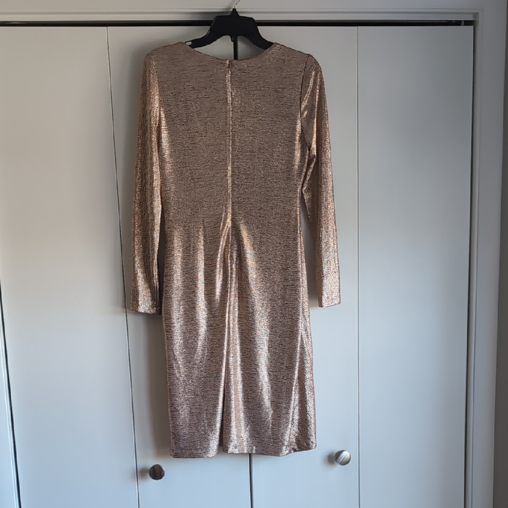 Elegant Metallic Dress - Picture 5 of 8